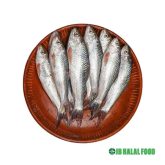 Bata Fish 300g – Fresh Frozen Fish