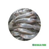 Batasi Fish バタシ (250g) – Fresh frozen Halal fish