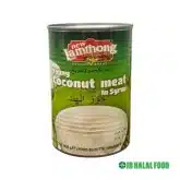 Coconut Meat – Fresh & Nutritious ココナツミート