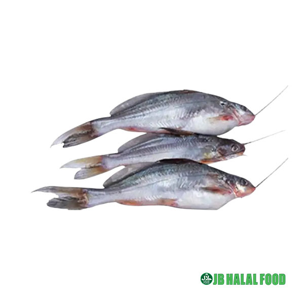 Gulsha-500gm