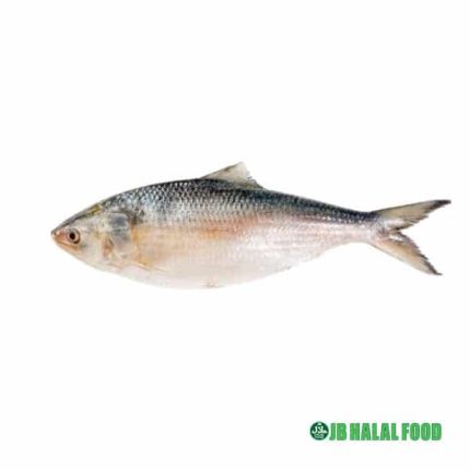 Hilsha Whole ヒルシヤホール (1.2～1.4kg) – Premium Halal whole hilsa fish