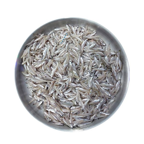 Kaski Fish 250g – Fresh Frozen カスキ