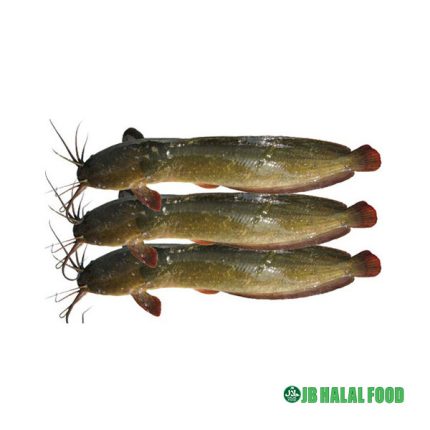 Magur-ナマス-(800g)