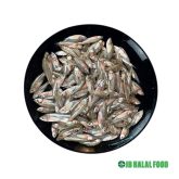 Mola Fish 250g – Fresh Frozen モラ