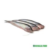 Pabda Fish 800g – Fresh Frozen パブダ