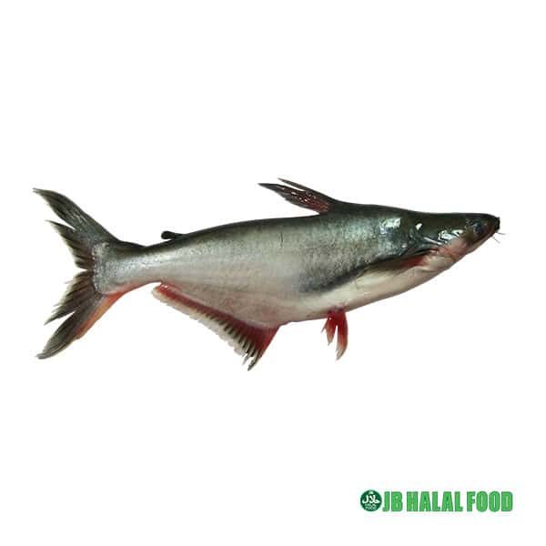 Pangash Block Pack パンガシ (800g) – Fresh frozen Halal pangasius fish