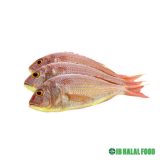 Poa Fish Pack 800g – Fresh Frozen ポワブロック