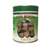 Straw Mushroom – Fresh & Nutritious ストロキノコ