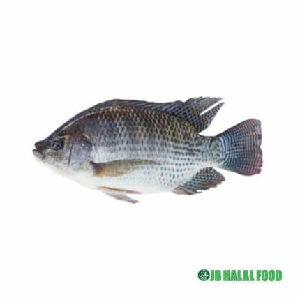 Tilapia Fish 1kg – Fresh Frozen テラピア