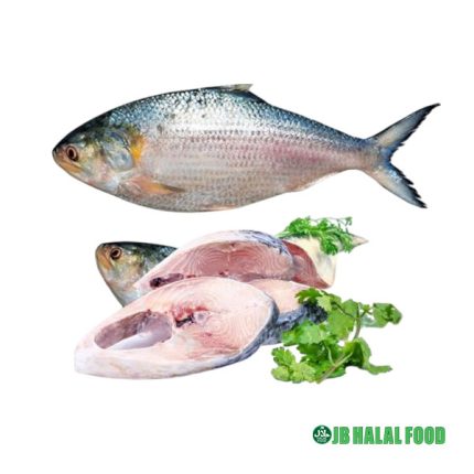 Hilsha Fish Whole 1.1–1.12kg – ヒルシャホール
