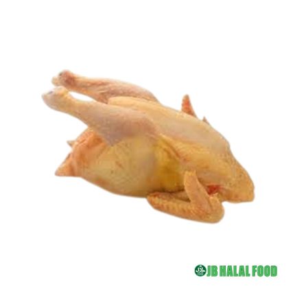 Hard Chicken Whole 1000g～1500g – 固い鶏肉ホール