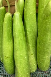 Long Green Bottle Gourd/Law/Kodu 1 kg