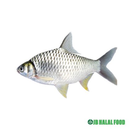 Sor Puti Fish 1kg